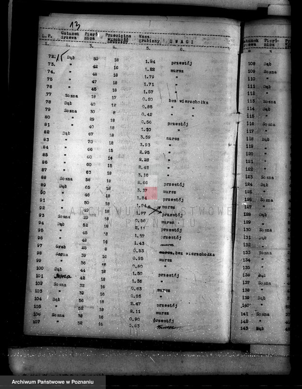 Obraz 19 z jednostki "Lasy miasta Dąbie powiatu kolskiego"