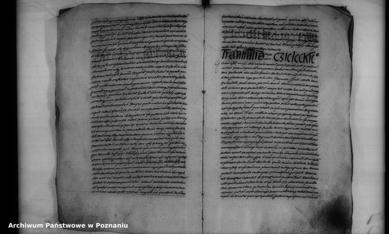 Obraz 8 z jednostki "Inscriptiones [inducta]"