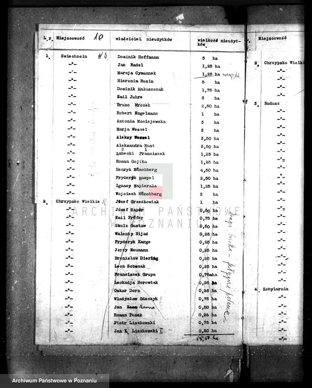 Obraz 14 z jednostki "Zalesienie nieużytków w powiecie międzychodzkim"