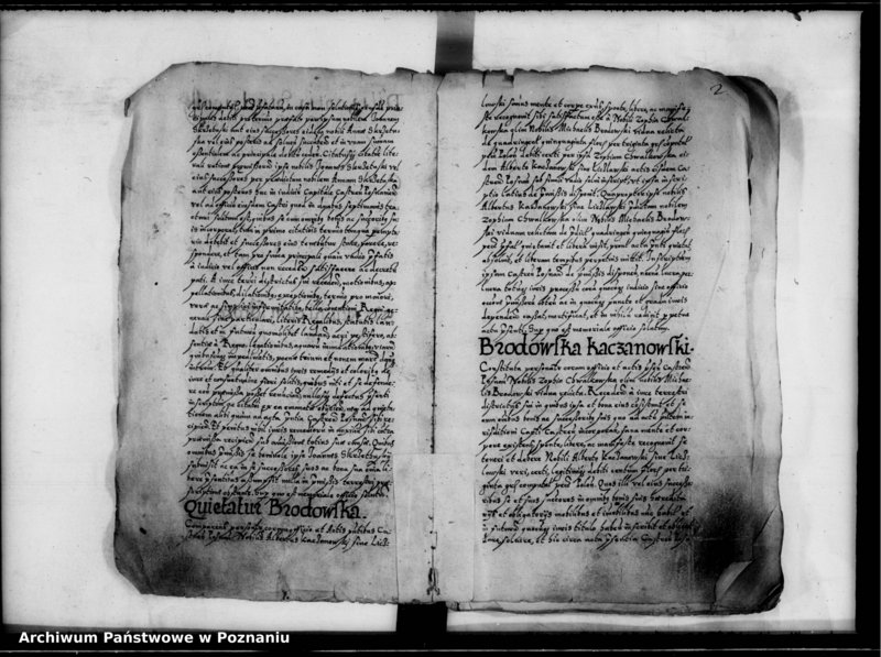 Obraz 5 z jednostki "Inscriptiones, relationes [inducta]"