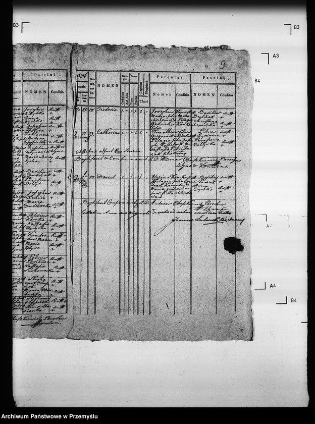 Obraz 13 z jednostki "[Kopie ksiąg metrykalnych parafii Zdynia z filiami Konieczna, Ług (dekanat Gorlice)]"