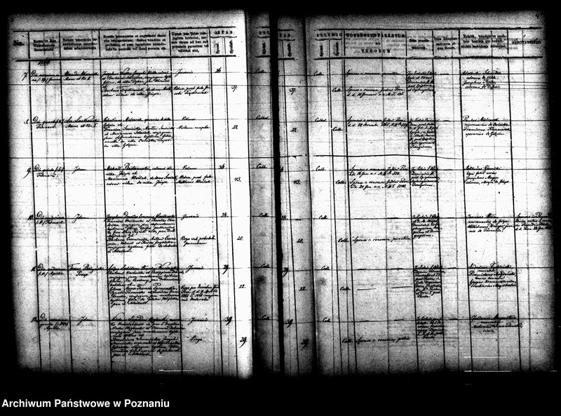 Obraz 7 z jednostki "Księga małżeństw"