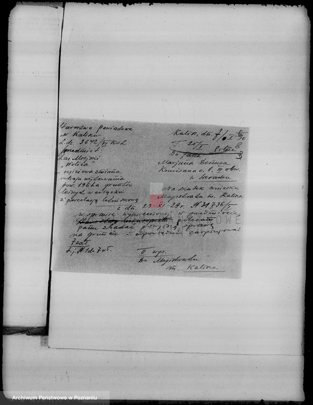 Obraz 12 z jednostki "Sprawa częściowej zmiany użytkowania 196,08 ha gruntów leśnych miasta Kalisza dla celów parcelacji letniskowej"