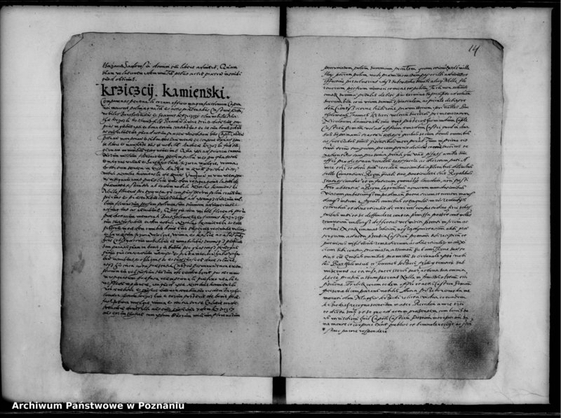 Obraz 18 z jednostki "Inscriptiones, relationes [inducta]"