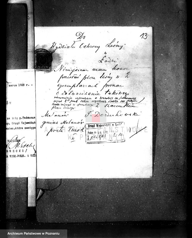 Obraz 20 z jednostki "Uznanie za ochronne powierzchni około 25 ha terenów leśnych pod nazwą,,Bibianna" należących do majątku Malanów powiat turecki"