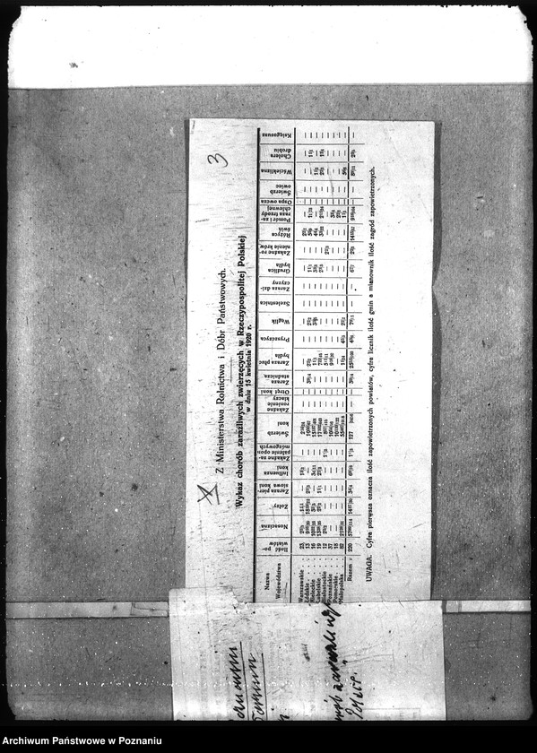 Obraz 7 z jednostki "Wykaz chorób zwierzęcych zaraźliwych w Rzeczypospolitej Polskiej"