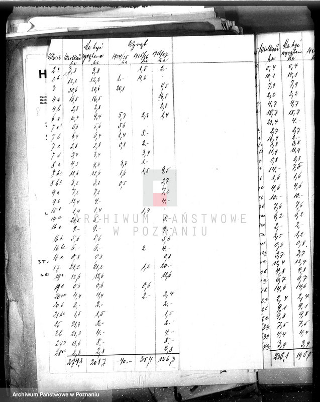 Obraz 15 z jednostki "Majętność leśna Oleśnica w powiecie chodzieskim"