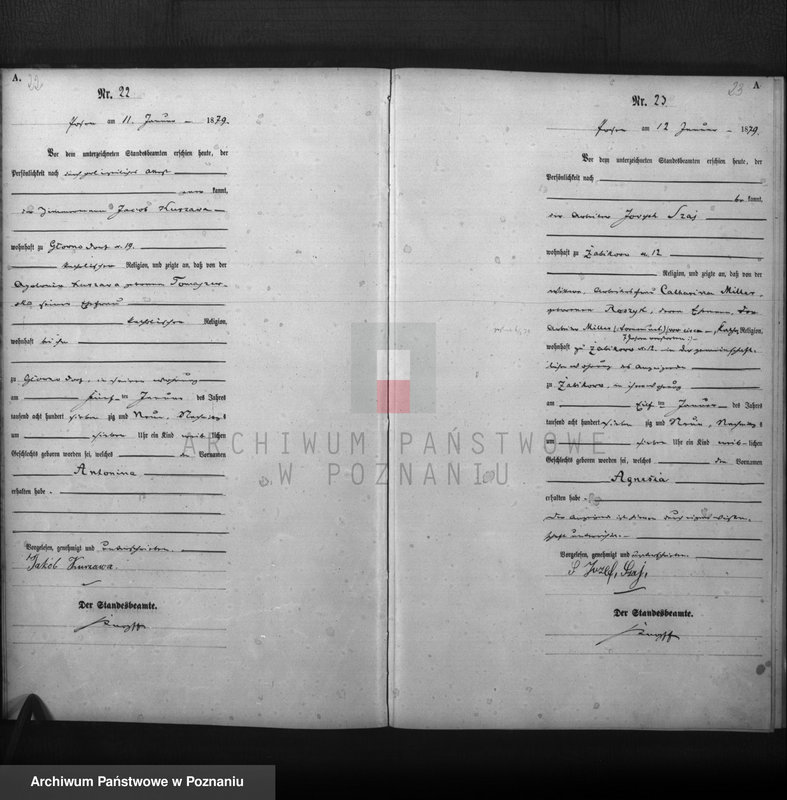 Obraz 13 z jednostki "Księga urodzeń t. I"