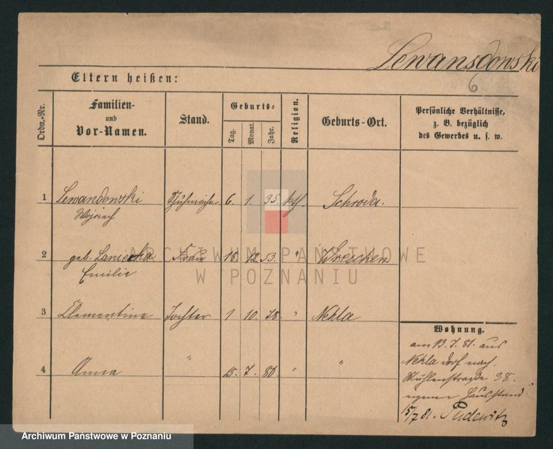 Obraz 6 z jednostki "Lewandowski (żonaci i wdowy)"