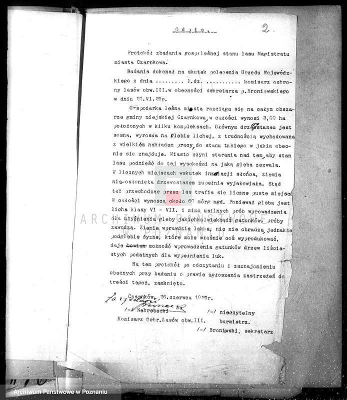 Obraz 6 z jednostki "Magistrat miasta Czarnkowa /nadzór nad gospodarką leśną/"