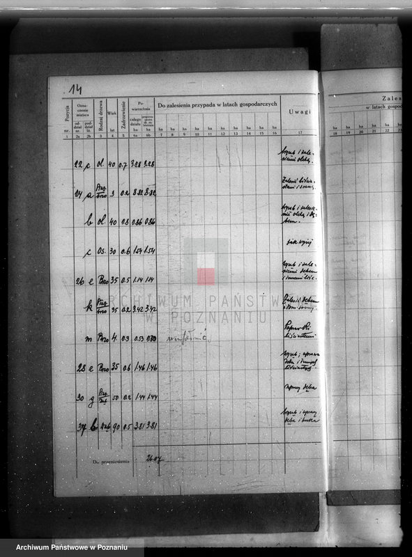 Obraz 18 z jednostki "Plan urządzenia gospodarstwa leśnego lasu majętności Dakowsko-Wojnowickiej w powiecie nowotomyskim"