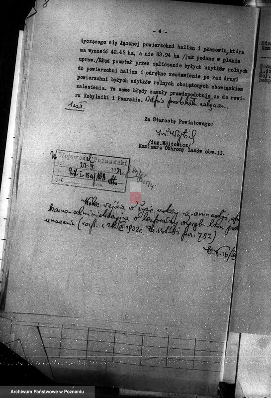 Obraz 12 z jednostki "Las majętności Bieczyny powiat kościański"