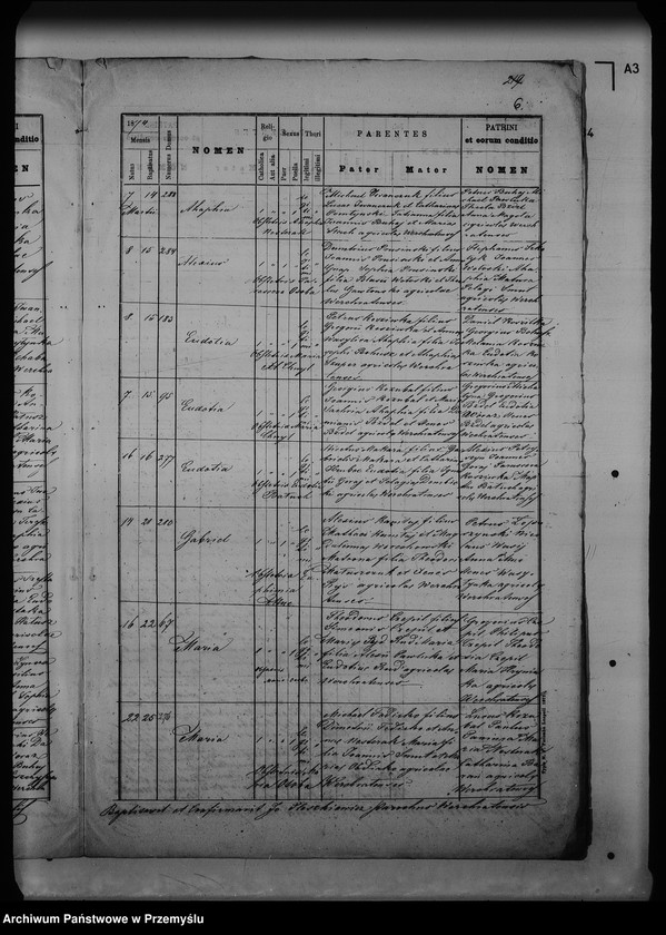 Obraz 10 z jednostki "[Kopie ksiąg metrykalnych parafii Werchrata z filią Prusie (dekanat Rawa Ruska)]"