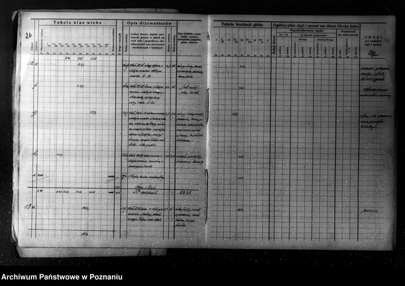 Obraz 18 z jednostki "/Plan urządzania gospodarstwa leśnego dla lasu majątku Turew powiatu kościańskiego 1933-1943/"