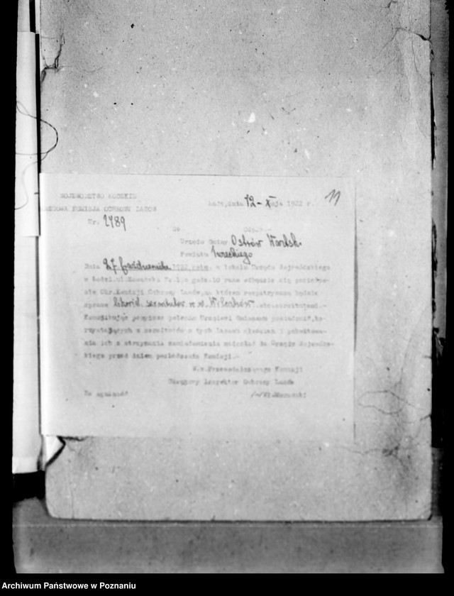 Obraz 15 z jednostki "Lustracja lasów majątku Wilczków powiat turecki"