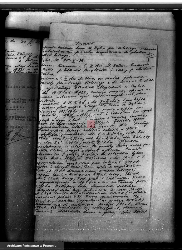 Obraz 9 z jednostki "Lasy miasta Dąbie powiatu kolskiego"