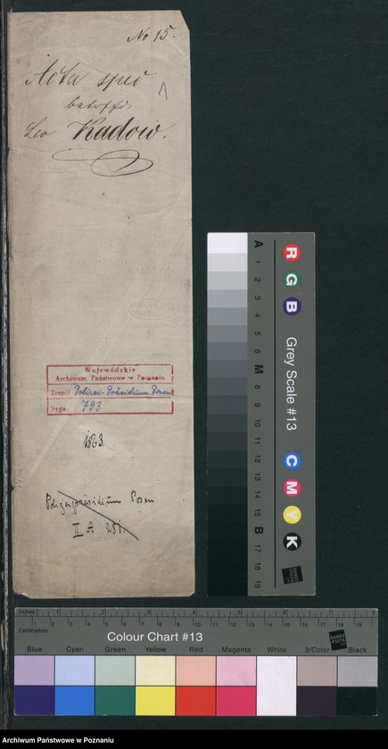 Obraz 4 z jednostki "A. betr. Leo Kadow in Ruchocinek, Kreis Gnesen"