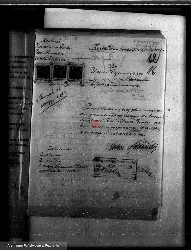 Obraz 20 z jednostki "Majętność leśna Kociałkowo powiat poznański"