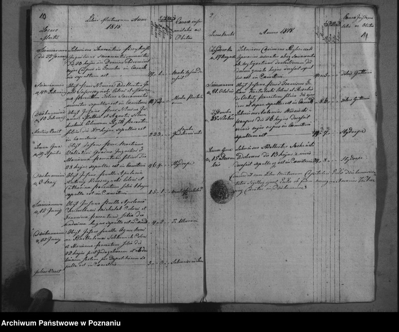 Obraz 8 z jednostki "Liber baptisatorum, copulatorum, mortuorum"