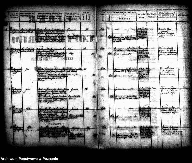 Obraz 2 z jednostki "Księga małżeństw"