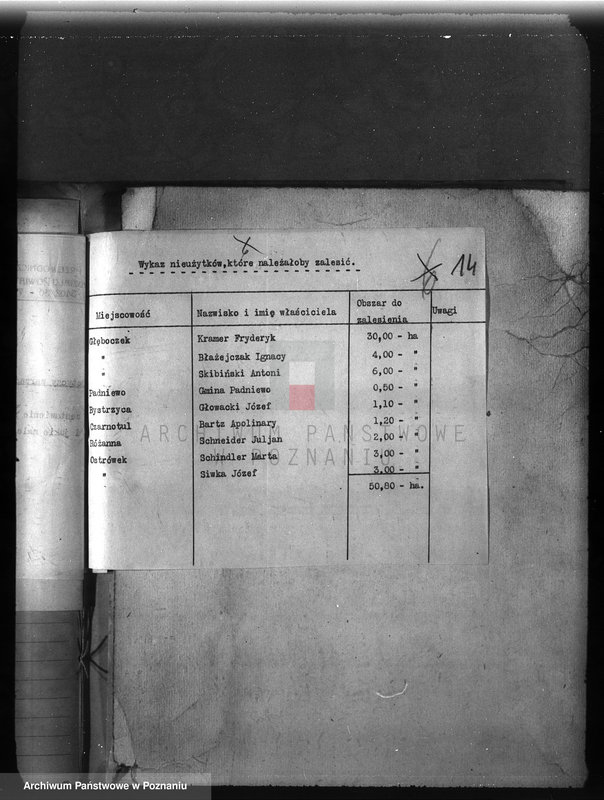 Obraz 18 z jednostki "Zalesienie nieużytków w powiecie mogileńskim"