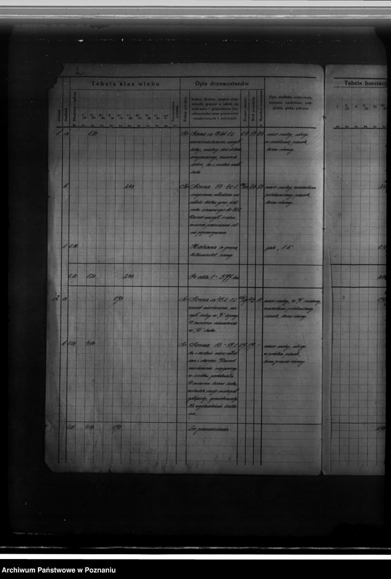 Obraz 6 z jednostki "Program gospodarczy dla lasu J. Kajewskiego w gminie Wiórek powiat poznański 1929-1939"