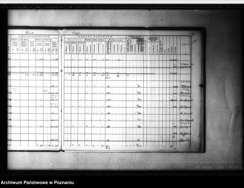 Obraz 15 z jednostki "/Zestawienie /wykaz/ rozdysponowania ziemi na cele parcelacyjne powiatu gostyńskiego"