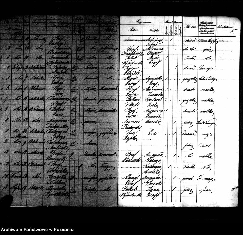 image.from.unit.number "Duplikaty zaślubionych, urodzonych, zmarłych"