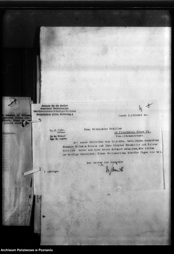 Obraz 8 z jednostki "Wilhelmina Schiller Kirschberg (powiat Łódź)"