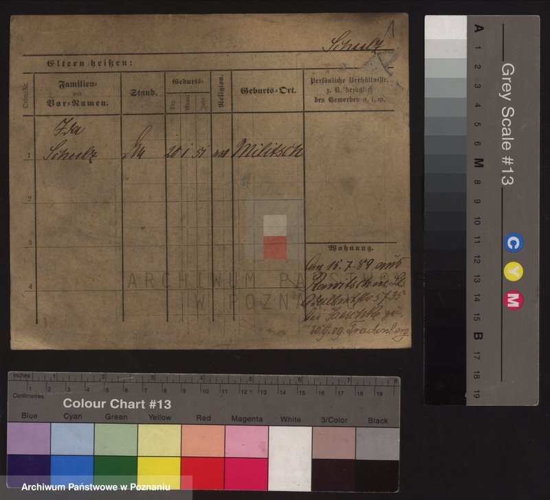 Obraz 5 z jednostki "Szulc (samotne kobiety od Ida)"