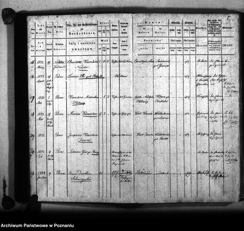 Obraz 9 z jednostki "Księga zejścia"