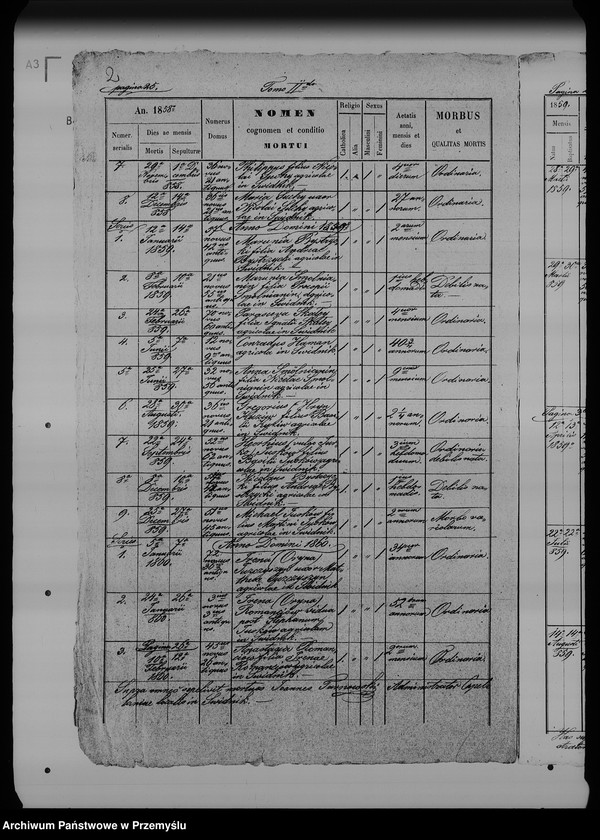 Obraz 6 z jednostki "[Kopie ksiąg metrykalnych parafii Świdnik (dekanat Rozłucz)]"