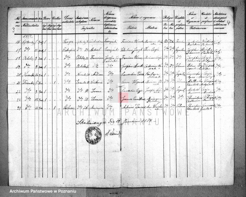 Obraz 4 z jednostki "Duplicatus baptisatorum"