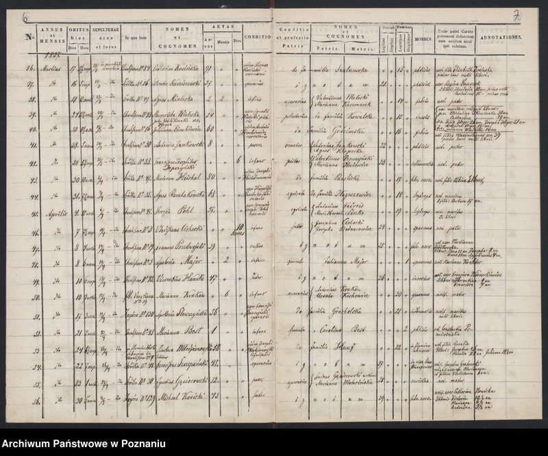 Obraz 6 z jednostki "Księga zgonów"