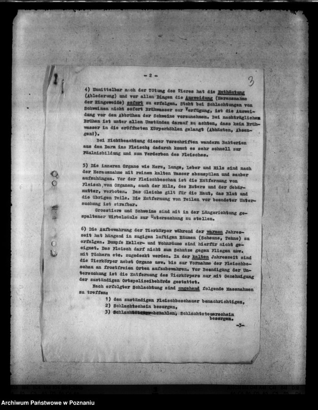 Obraz 7 z jednostki "Notschlachtungen"