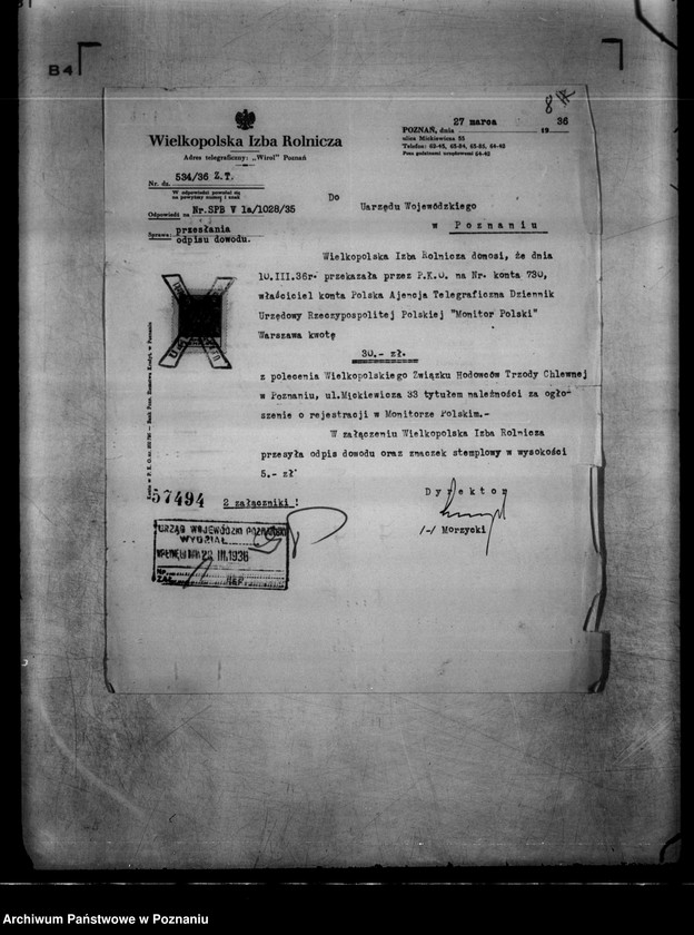 Obraz 12 z jednostki "/Wielkopolski Związek Hodowców Trzody Chlewnej w Poznaniu/"