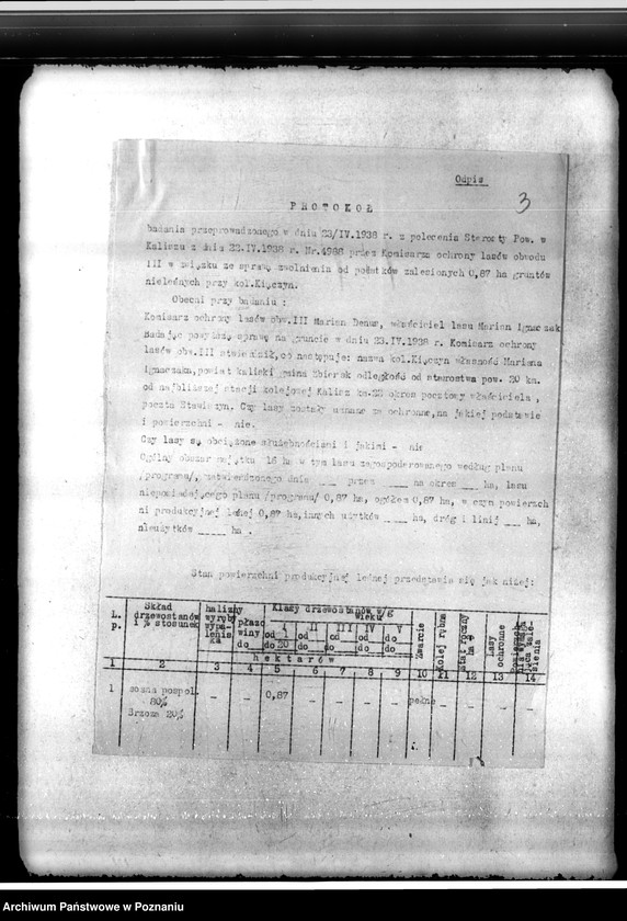 Obraz 7 z jednostki "Gmina Zbiersk powiat kaliski"