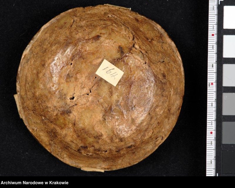 image.from.unit.number "Bona Sforza. Królowa Polski, Wielka Księżna Litewska. W polu pieczęci ukoronowana tarcza czteropolowa z herbami: polskim (prawe górne pole), Wąż Sforzów i Orzeł (lewe górne), herb mediolański i aragoński (prawe dolne), Pogoń (lewe dolne) tarczę otaczającą elementy roślinne. Otok ujęty w sznury perełek z napisem kapitalnym, renesansowym: BONA SFOR[TIA] ARAG[ONIA] D[EI] G[RATIA] REGINA POLONIE MAG[NA] DVX LITVANIE"