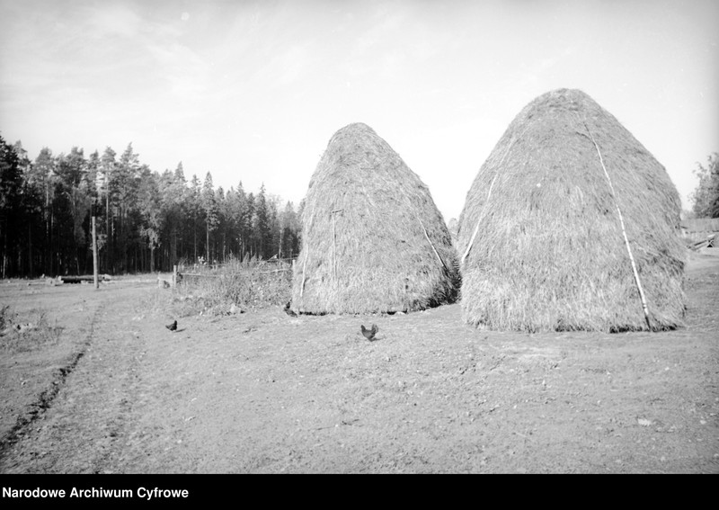 image.from.unit.number "Białowieża"