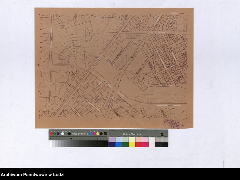 Obraz 1 z jednostki "Plan m. Łodzi 1:2000. Sekcja SW51"