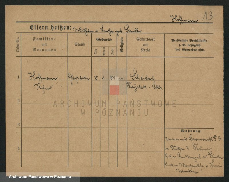 Obraz 13 z jednostki "Hofman (samotni mężczyźni)"
