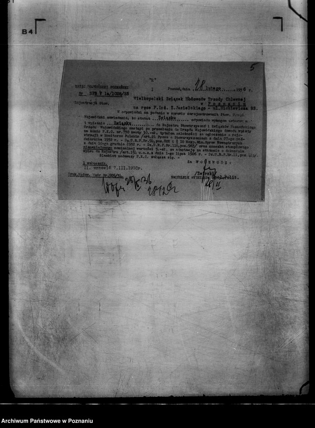 Obraz 9 z jednostki "/Wielkopolski Związek Hodowców Trzody Chlewnej w Poznaniu/"