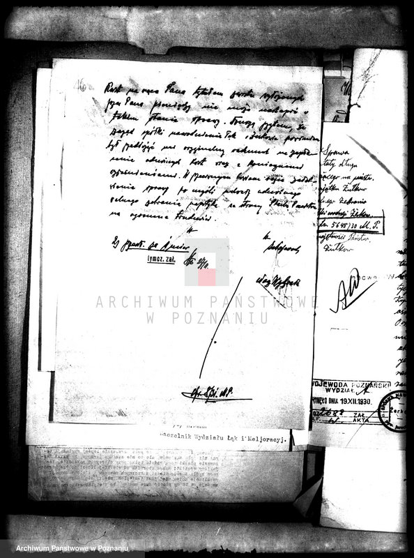 Obraz 20 z jednostki "Melioracje majątku państwowego Żółków"