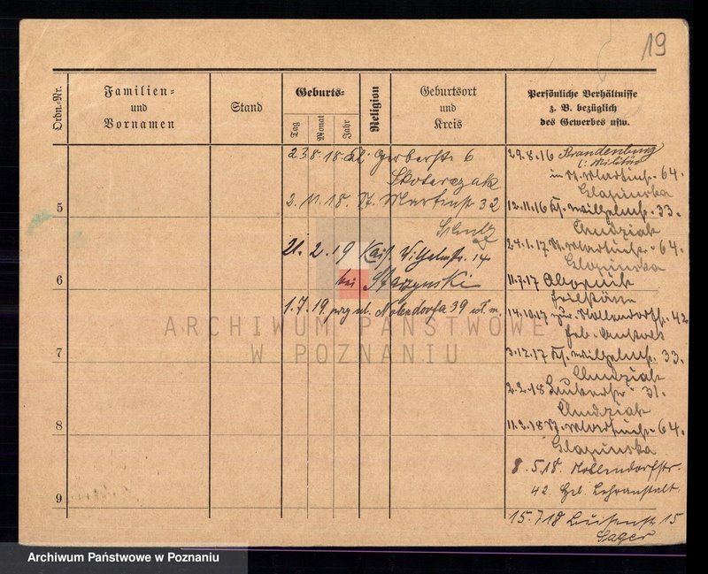 Obraz 20 z jednostki "Chudysiewicz - Chyczewski"