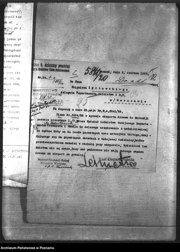 Obraz 16 z jednostki "Leśnictwo"