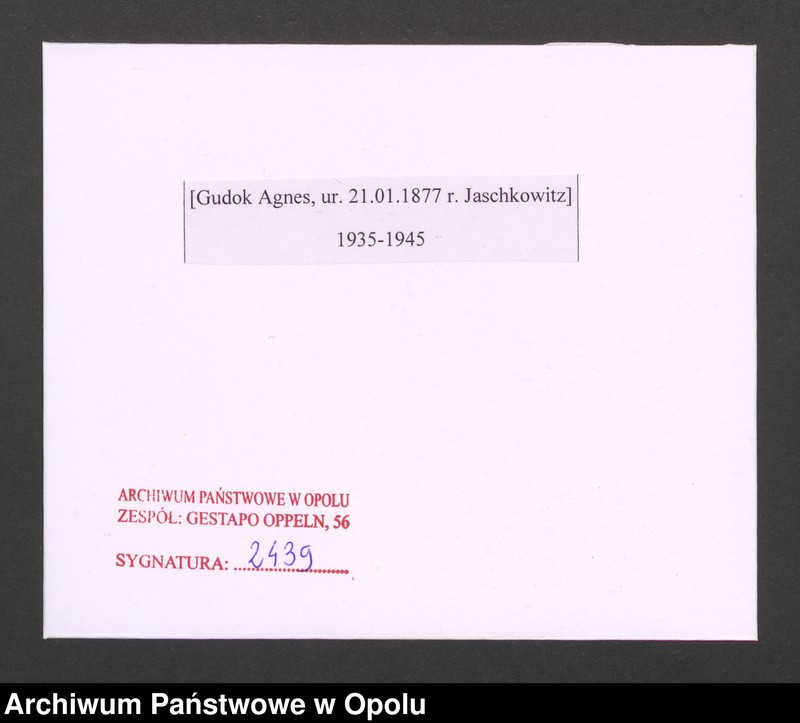 Obraz 2 z jednostki "[Gudok Agnes, ur. 21.01.1877 r. Jaschkowitz]"