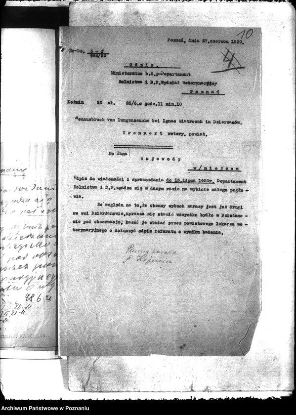 Obraz 14 z jednostki "Zaraza płucna - Koźmin"