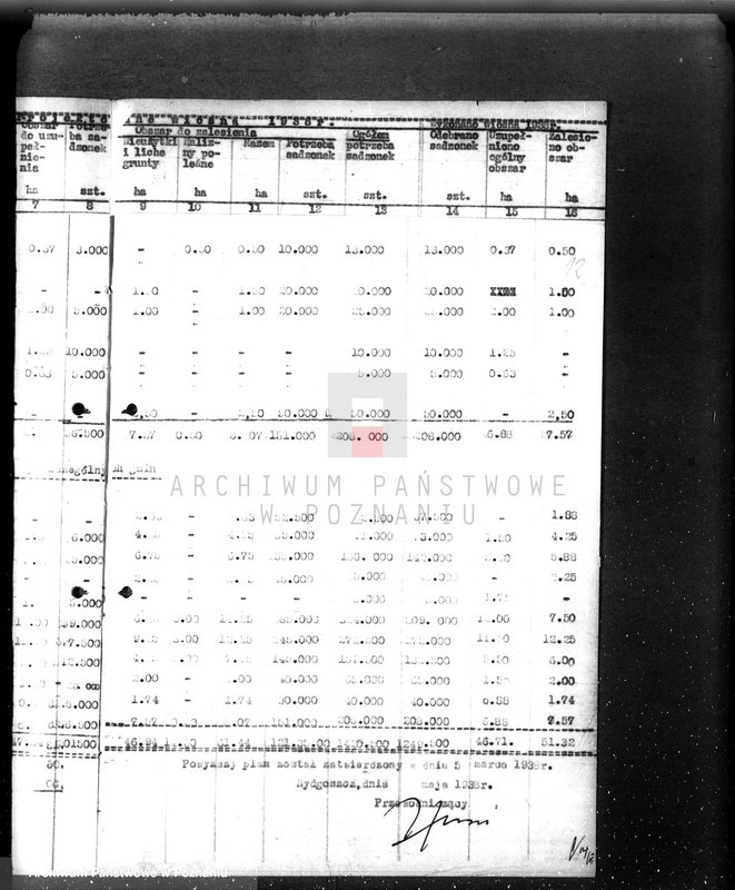 Obraz 16 z jednostki "Zalesienie nieużytków w powiecie bydgoskim"