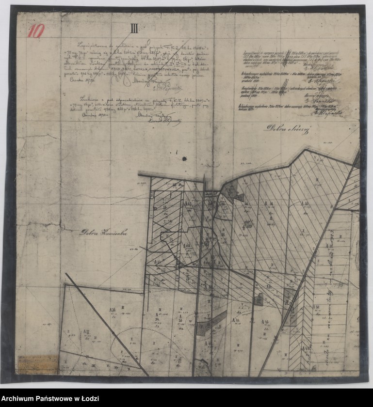 Obraz 4 z jednostki "Odrys pomiaru dóbr Niechmierów ... w powiecie sieradzkim położonych"