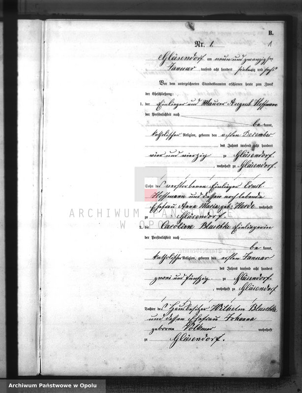 Obraz z jednostki "Heiraths-Haupt-Register Standesamts zu Gläsendorf pro 1876"